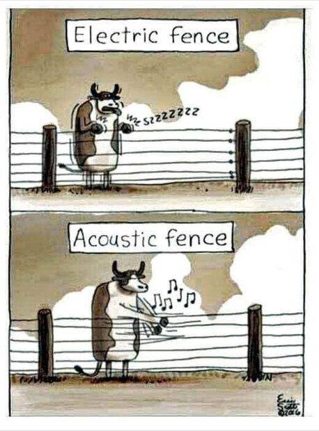 electric vs acoustic.jpg