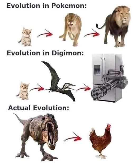 evolution.jpg