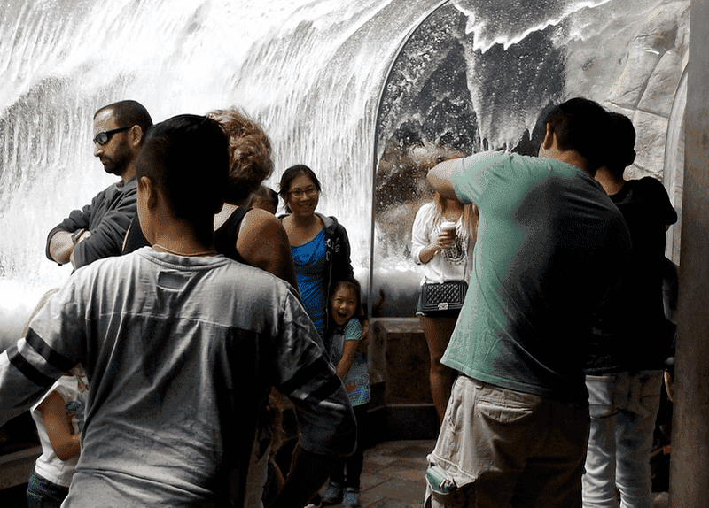 falling.water.monterey.bay.aquarium.2016.06.20.png