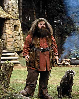 fang-with-hagrid.jpg