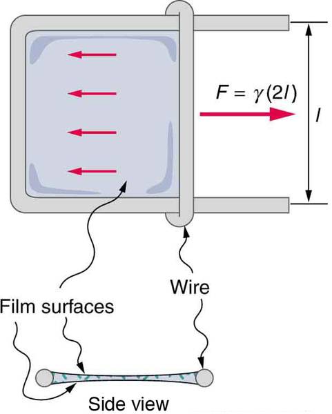 Figure_12_08_04a.jpg