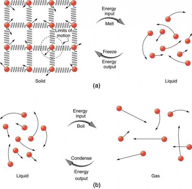 Figure_15_03_02a.jpg