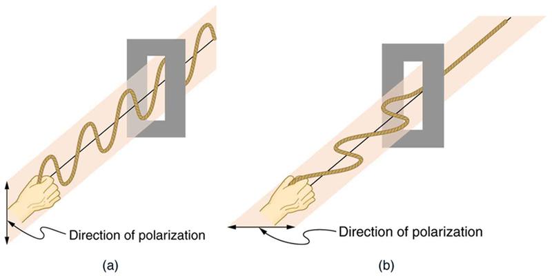 Figure_28_08_03a.jpg