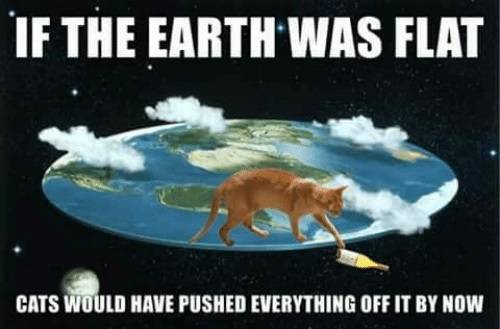 FlatEarthCats.jpg