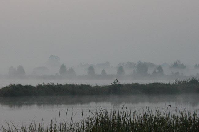 fog_over_ponds.jpg