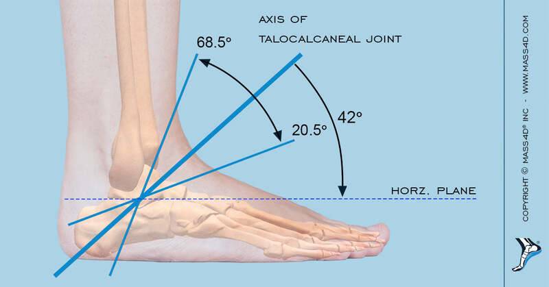 Foot_Biomechanical_Theories_Explained.jpg