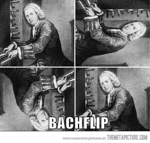 funny-Bach-playing-piano-backflip.jpg