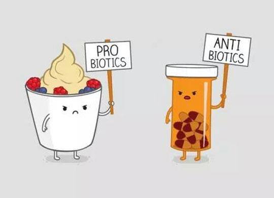 funny-frozen-yogurt-antibiotics-protesting.jpg