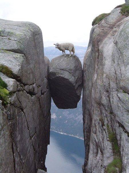 funny-goat-mountains-rocks.jpg