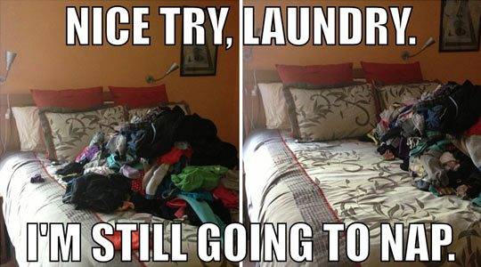 funny-laundry-nap-bed.jpg