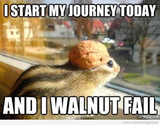 funny-picture-i-start-my-journey-today-and-i-walnut-fail-540x421.jpg