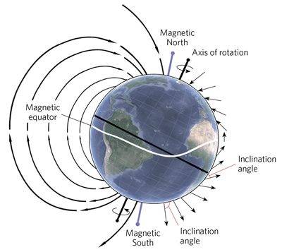 What is the latest research on humans and magnetoreception?