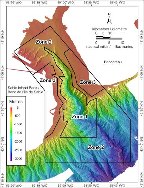 gully-img003.jpg