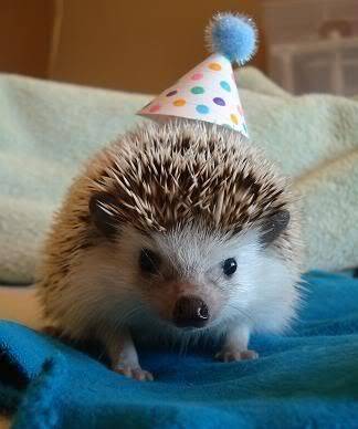 happy_birthday_animals_011.jpg