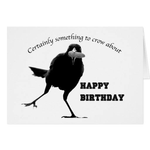 happy_birthday_bird_card-r218f7c2e1c6847bbbd8c8af8dc75ed69_xvuak_8byvr_512.jpg