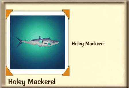 Holey_Mackerel.png