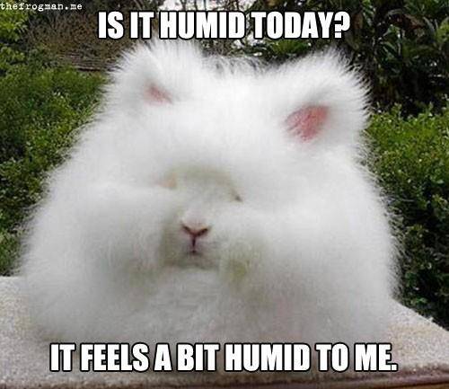 Humid.jpg