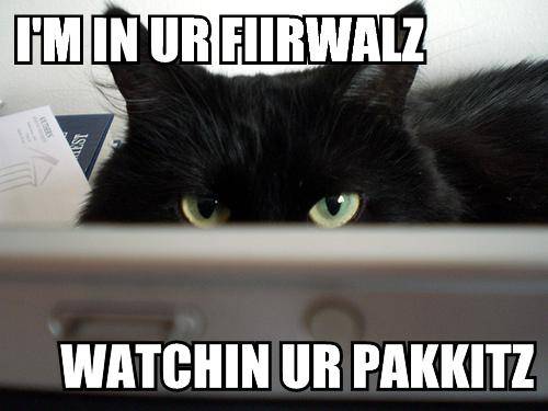 im-in-ur-fiirwalz-watchin-ur-pakkitz.jpg