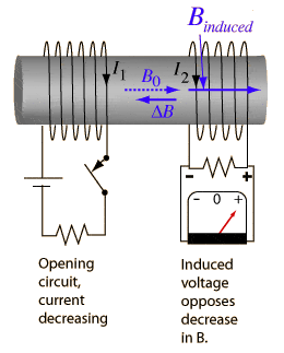 indmut2.gif