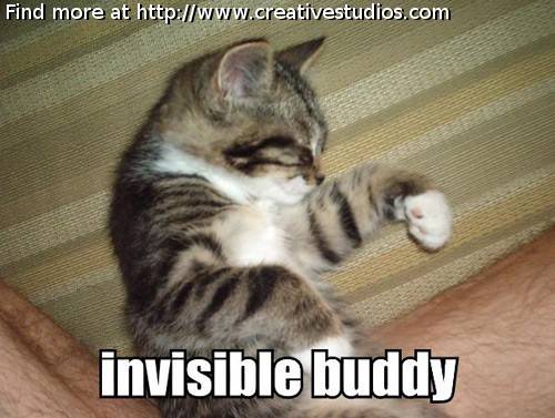 invisible-buddy-739306.jpg