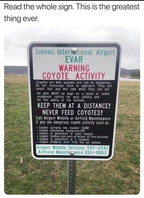 Juneau coyote activity.jpg