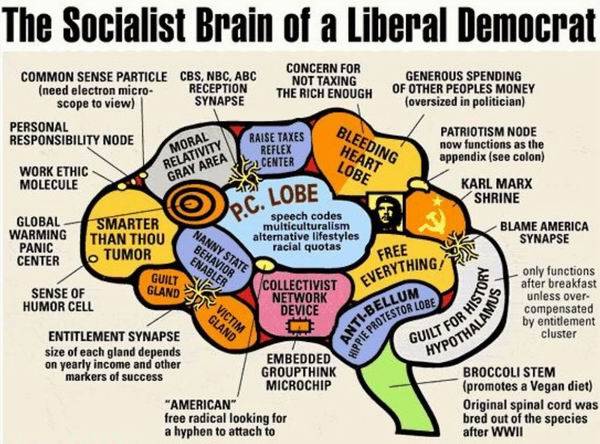Liberal_Brain%2520600.jpg