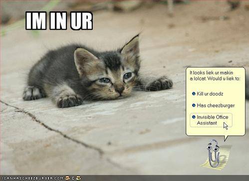 lolcat-microsoft.jpg