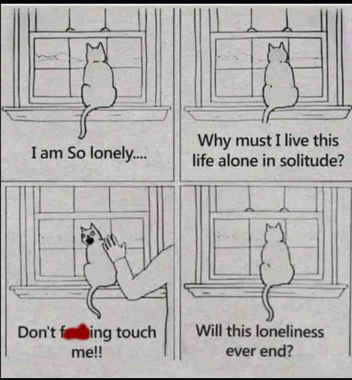 Lonely cat-m.jpg