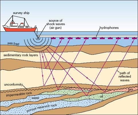 Marine-Seismic-Survey-Cartoon.jpg