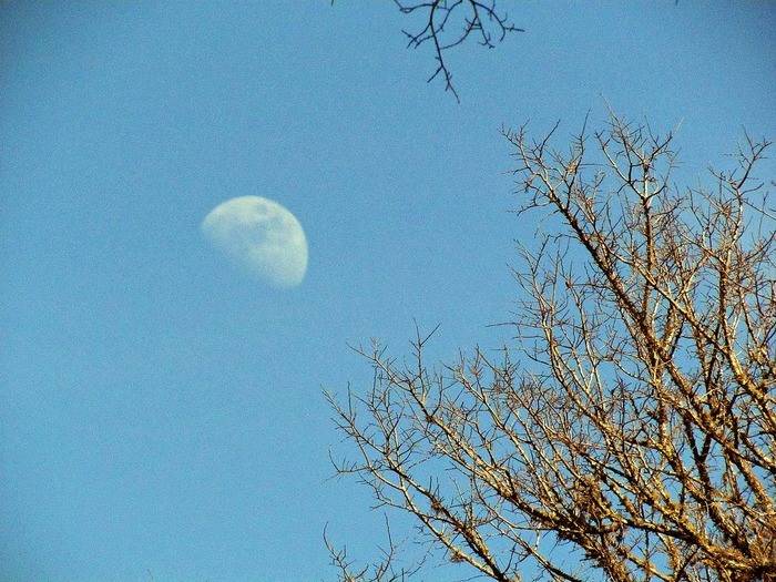 moon+in+daylight+1.JPG