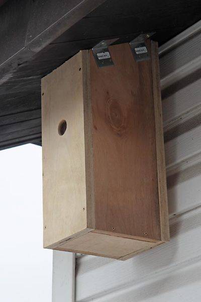 nest_box.jpg