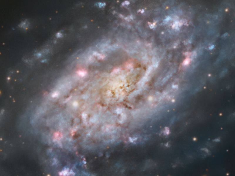 NGC2403_2022_Final_CenterCropForPF.jpg
