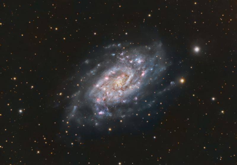 NGC2403_2022_Final_SmallForPF.jpg