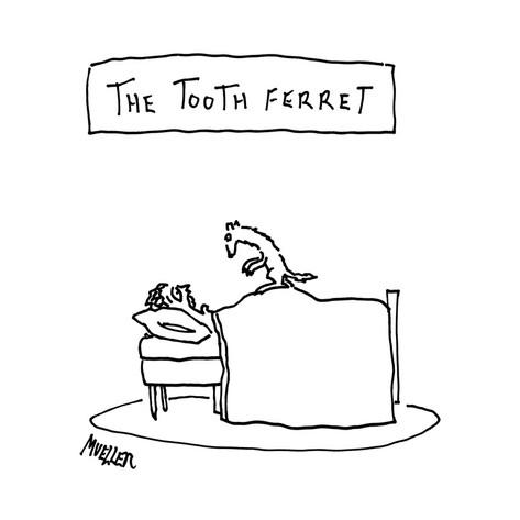 peter-mueller-the-tooth-ferret-new-yorker-cartoon.jpg