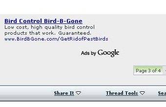 pf_google_ad_birdbgone.jpg