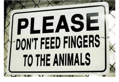 please-dont-feed-fingers-to-the-animals-28029969.png