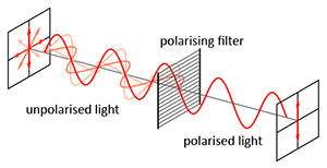 Polarised-light.png