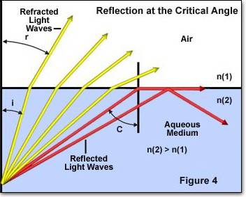 refractionfigure4.jpg