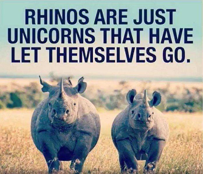 Rhinos are just unicorns --.jpg