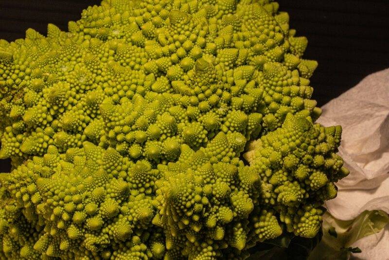 romanesco surface 4.jpg