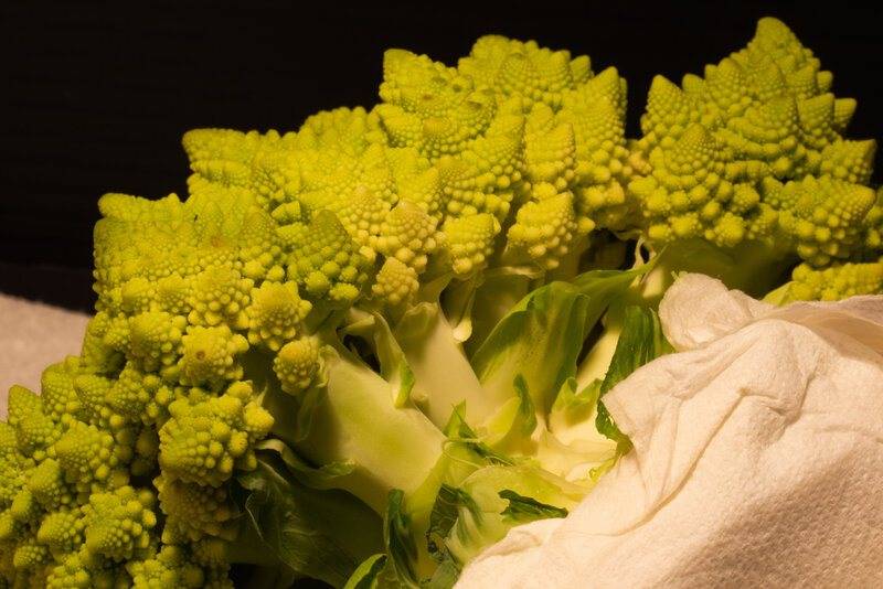 romanesco surface stems.jpg