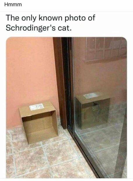 schrodinger-s-cat.jpg