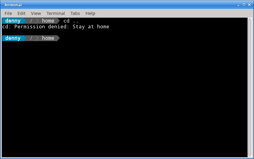 screenshot-terminal.png