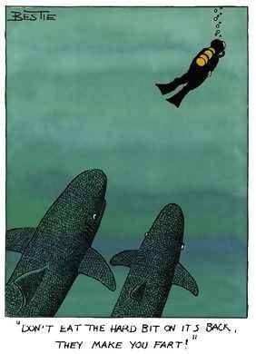 Sharks contemplate diver.jpg