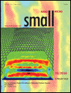 small_2010.gif