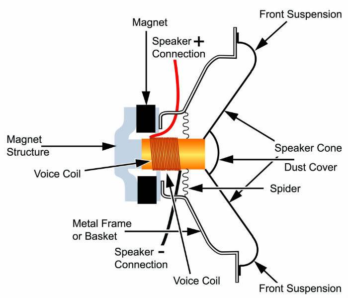 work how does coil Physics  do How layer work? Forums two  voice coils