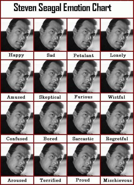 steven_seagal_emotion_chart.jpg