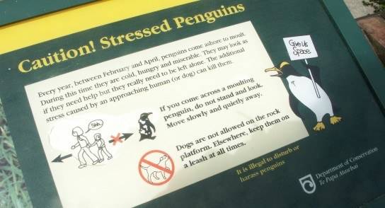 stressed-penguins.jpg