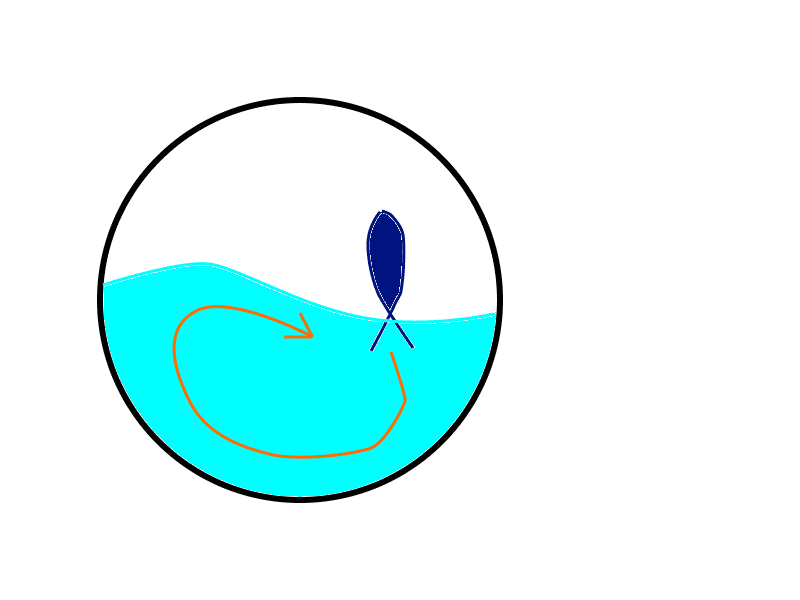 SwimmingFish.png