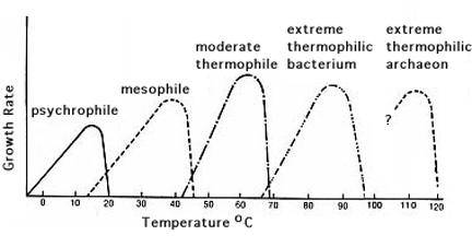 temperature.jpe